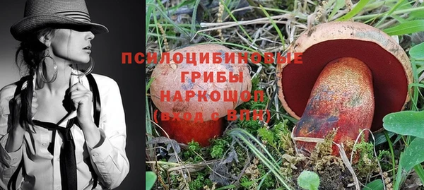 МДПВ Алзамай
