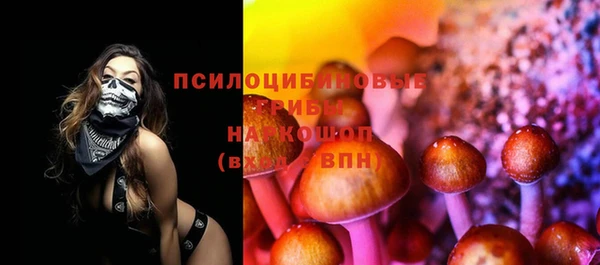 гашик Алексеевка