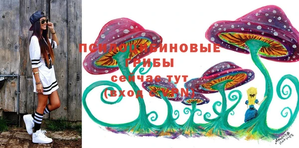 МДПВ Алзамай