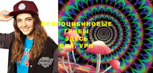 МДПВ Алзамай