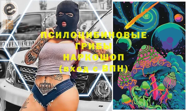 МДПВ Алзамай