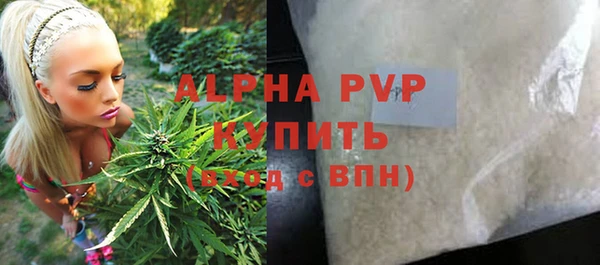 гашик Алексеевка