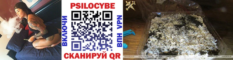omg маркетплейс  Усолье-Сибирское  Галлюциногенные грибы Cubensis 